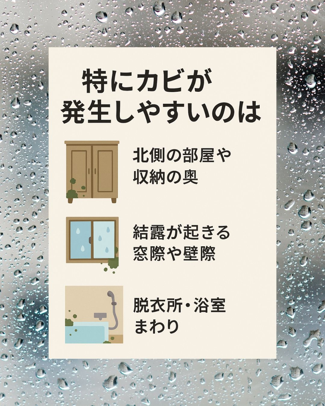 湿気とカビから家族を守る！室内のカビ＆湿気対策の新常識